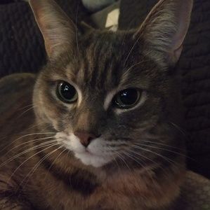 Meet your Posher, Ran